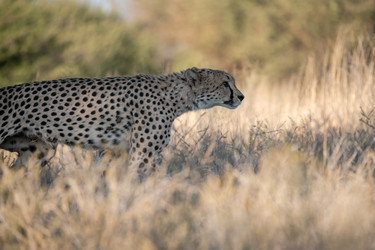 Similar image 22243032