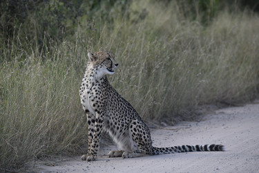 Similar image 22241950