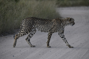 Similar image 22241951