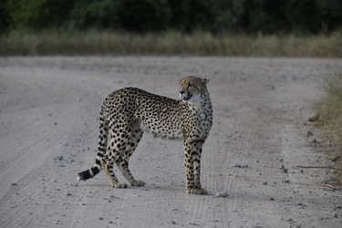 Similar image 22241954