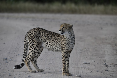 Similar image 22241955