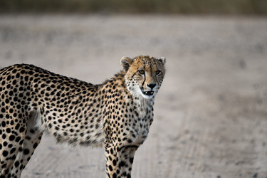 Similar image 22241957