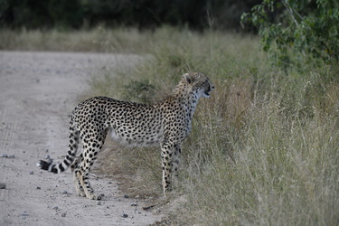 Similar image 22241958