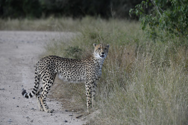 Similar image 22241959