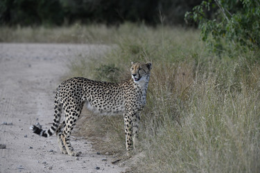 Similar image 22241961