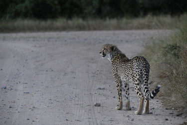 Similar image 22241962