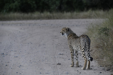 Similar image 22241963