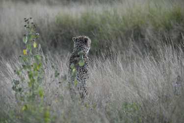 Similar image 22241966