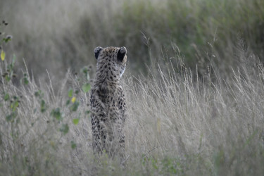 Similar image 22241969