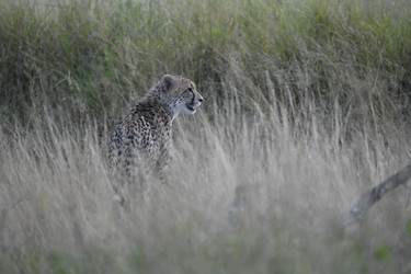 Similar image 22241970