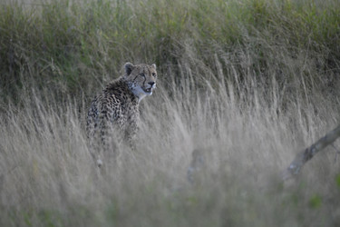 Similar image 22241971