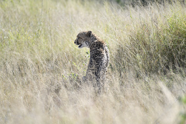 Similar image 22243033