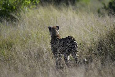 Similar image 22243036