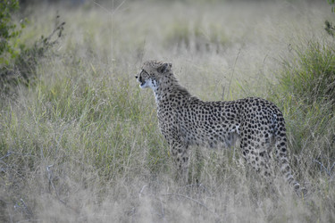 Similar image 22243038