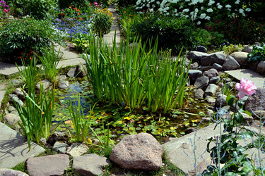 Similar image 22244879