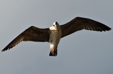 Similar image 22244880