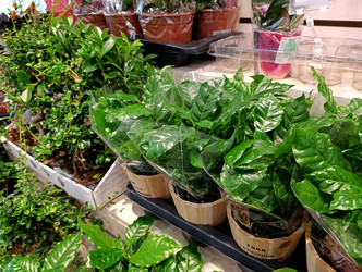 Similar image 22244187