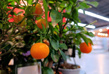 Similar image 22237365