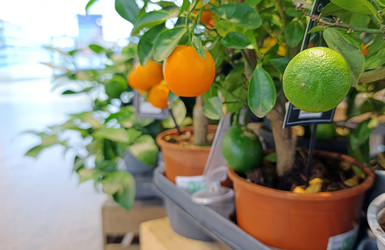 Similar image 22244188