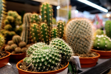 Similar image 22244189