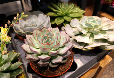 Similar image 22244190