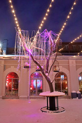 Similar image 22243526