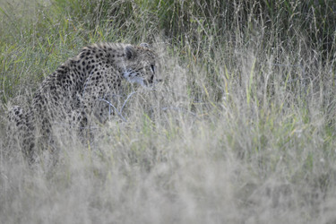 Similar image 22241974