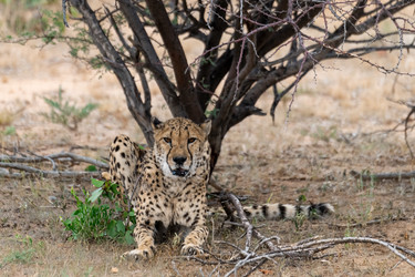 Similar image 22243040