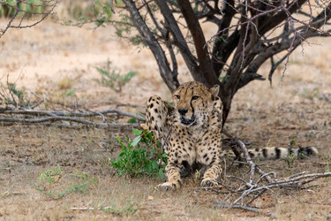 Similar image 22243041