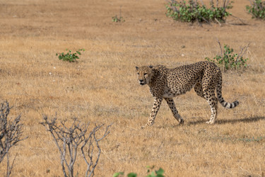 Similar image 22243042