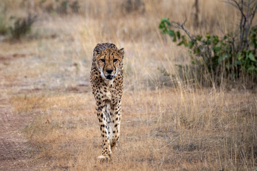 Similar image 22243046