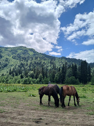 Similar image 22243290