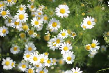 Similar image 22243291