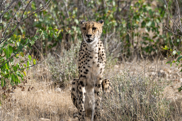 Similar image 22243049