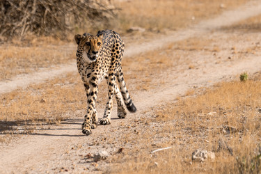 Similar image 22243050