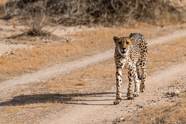 Similar image 22243051