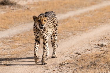 Similar image 22243052