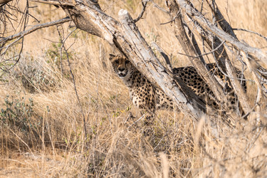 Similar image 22243054