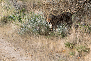 Similar image 22243056