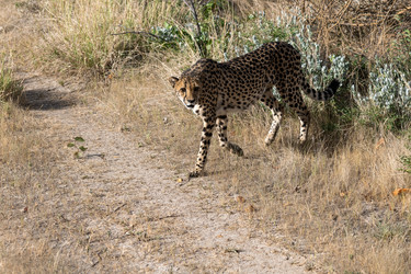 Similar image 22243057