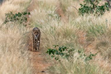 Similar image 22243060