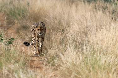 Similar image 22243061