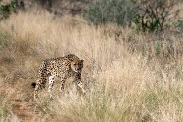 Similar image 22243062