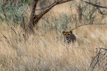 Similar image 22243065