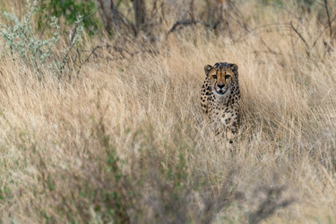 Similar image 22243066