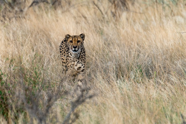 Similar image 22243067