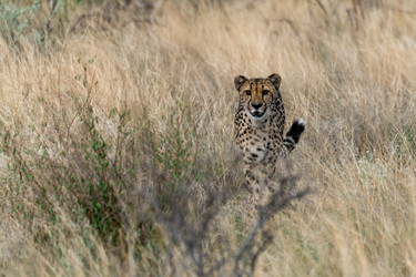 Similar image 22243068