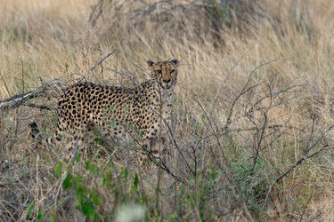 Similar image 22243069