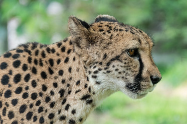 Similar image 22243071