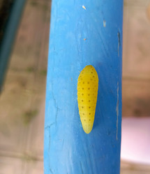 Similar image 22244033